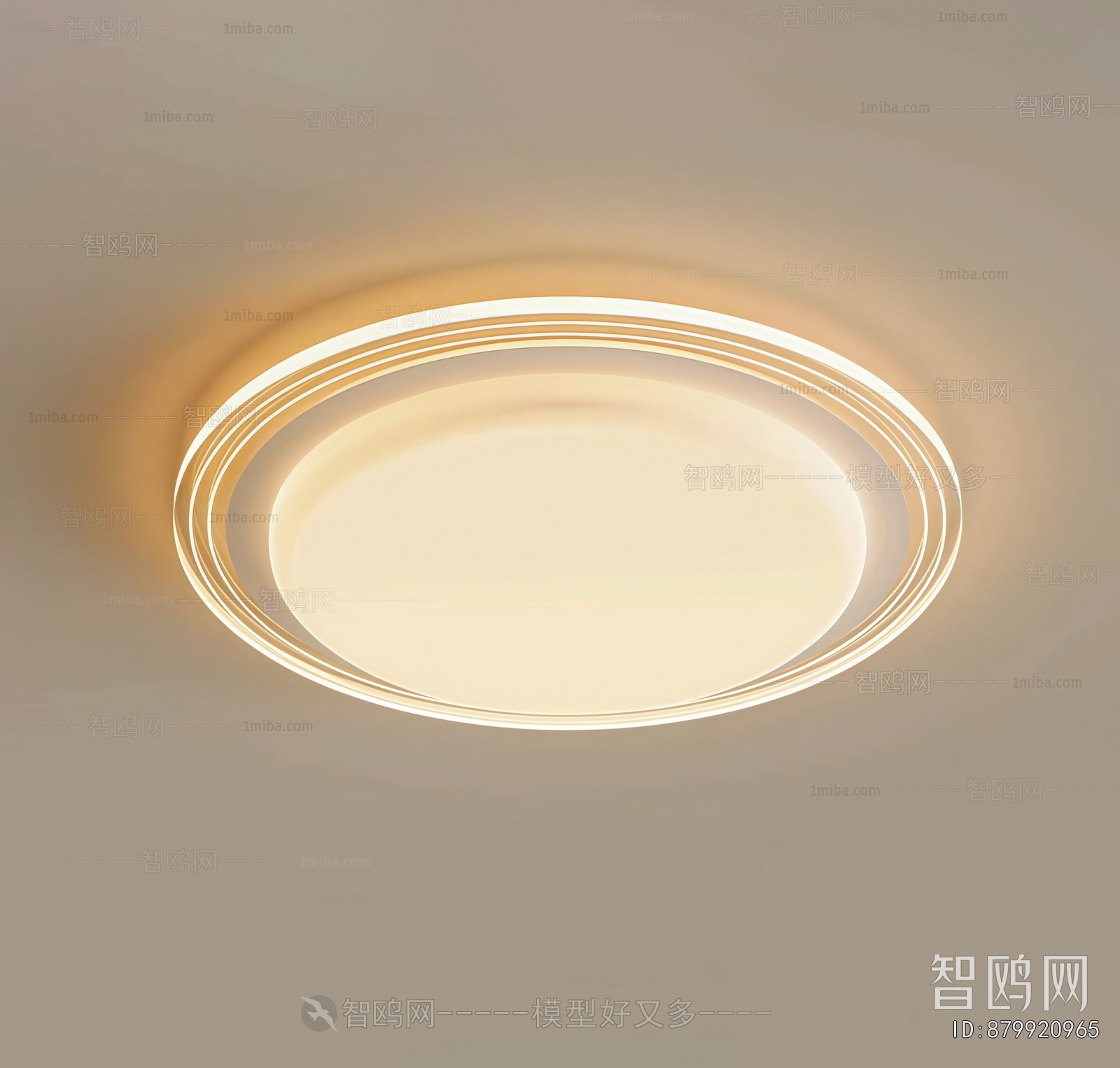 Modern Ceiling Ceiling Lamp