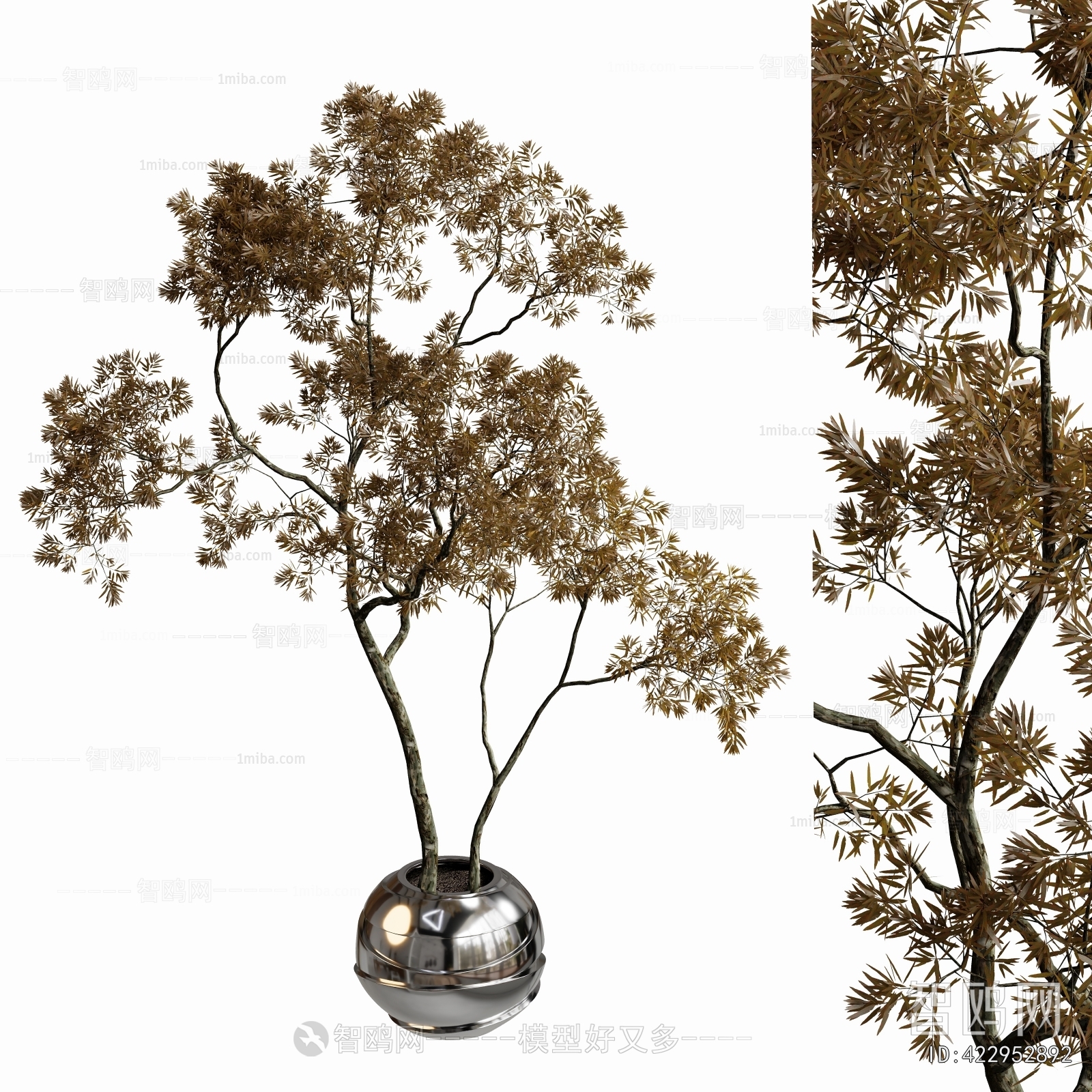 Modern Ground Green Plant Potted Plants