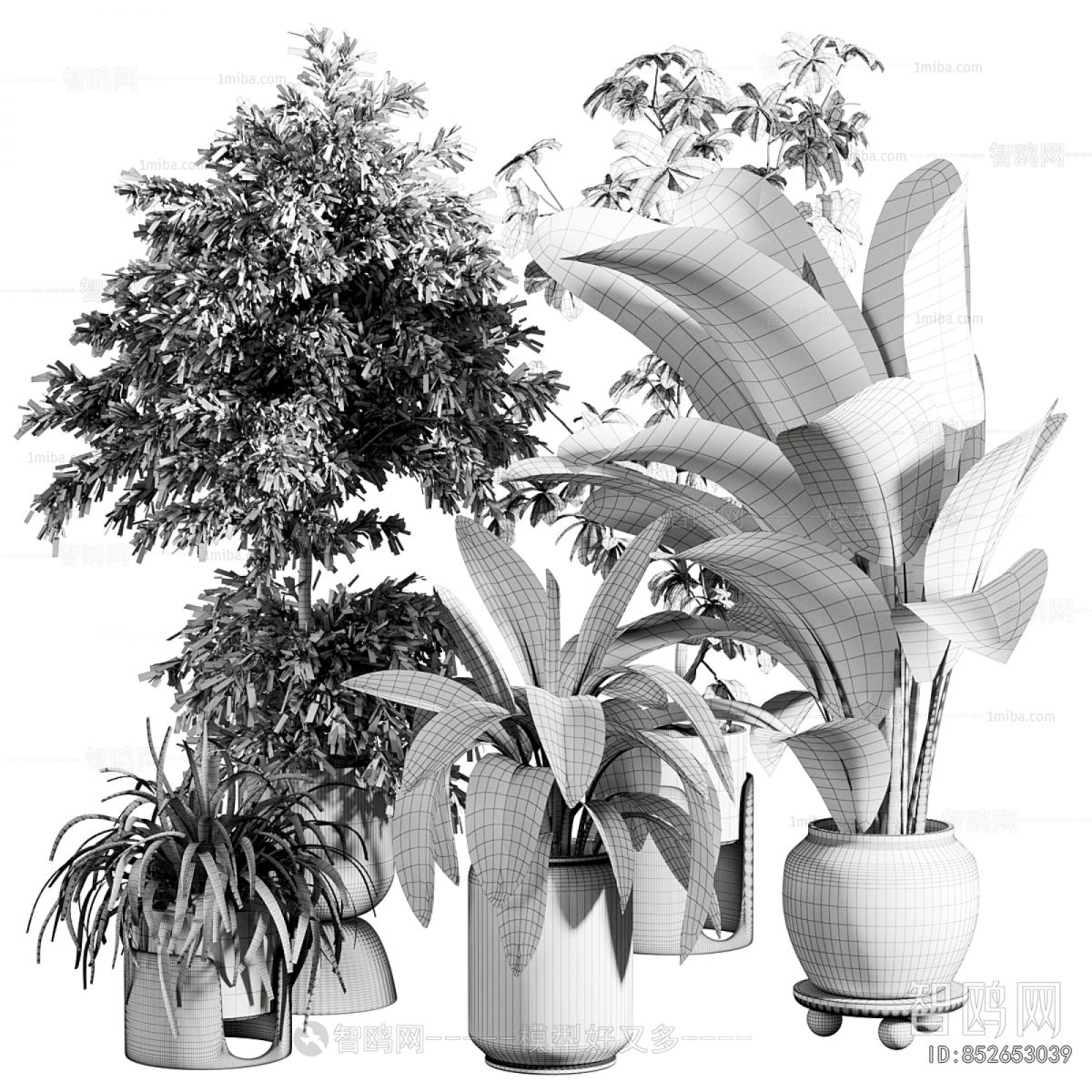 Modern Ground Green Plant Potted Plants