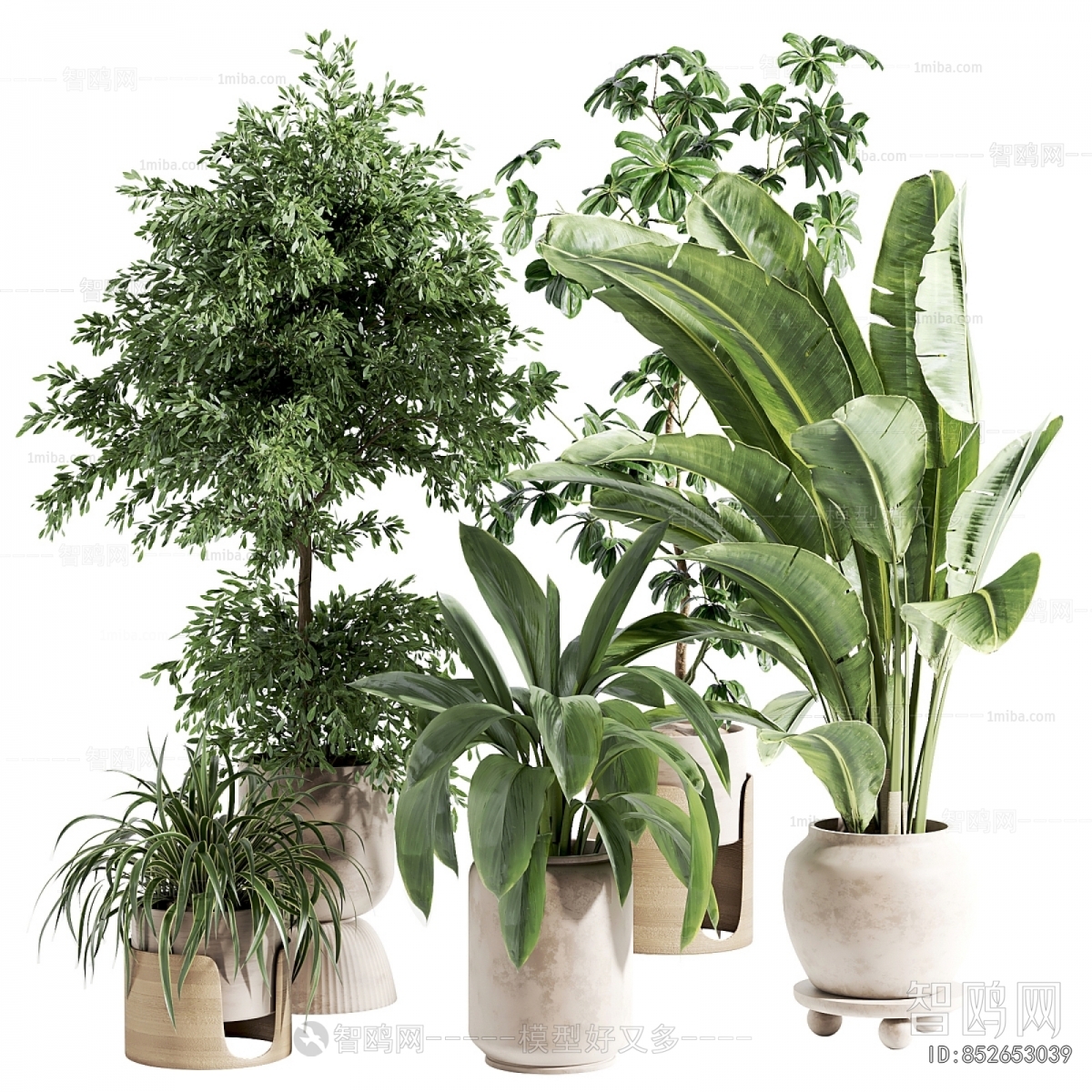 Modern Ground Green Plant Potted Plants