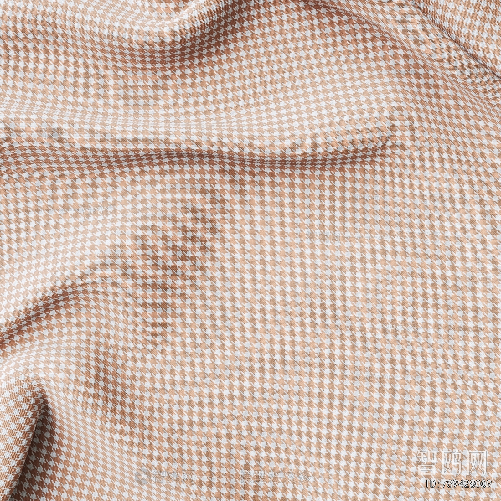 Modern Clothes, Bags And Shoes