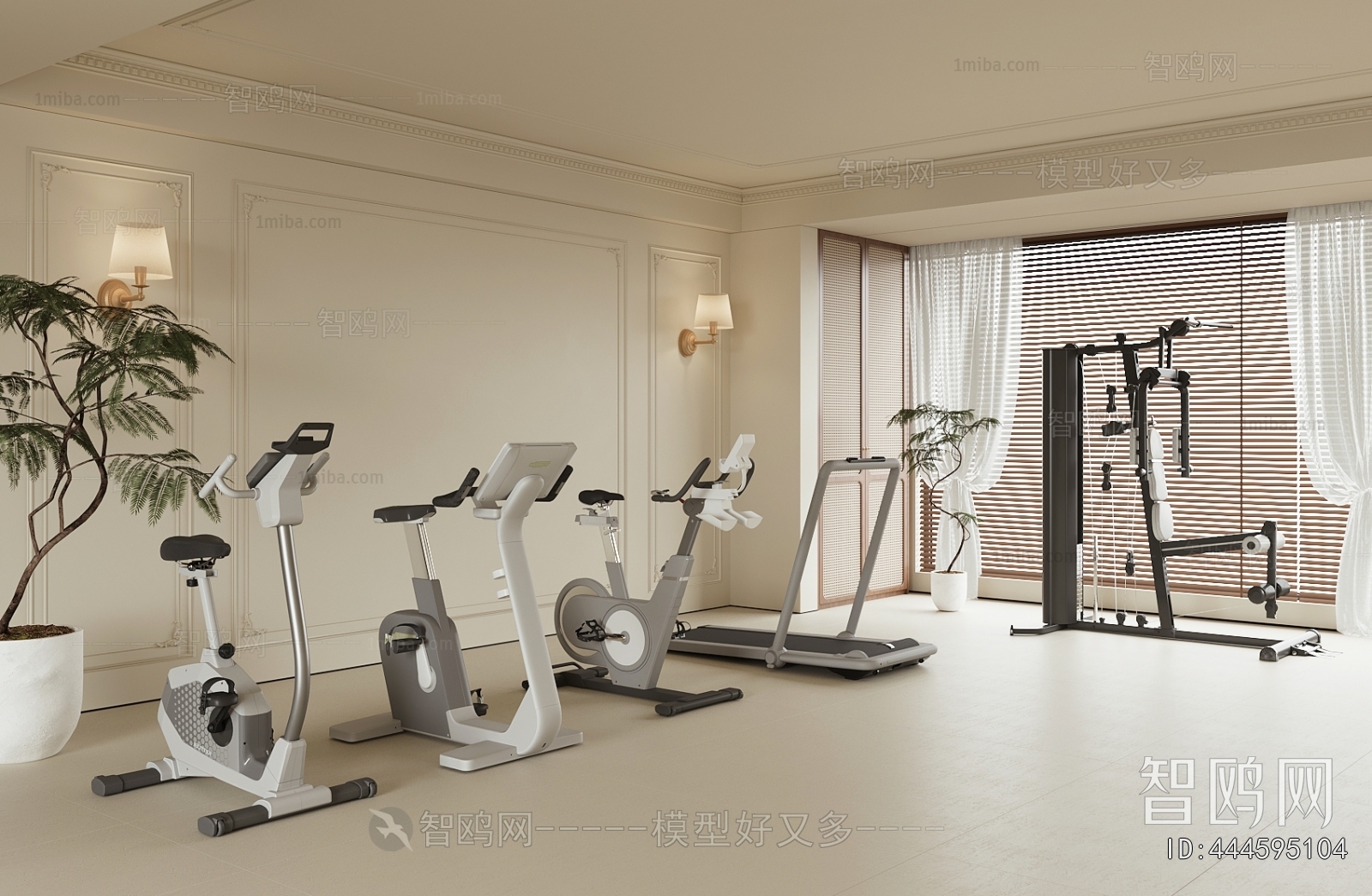 Modern Home Fitness Room
