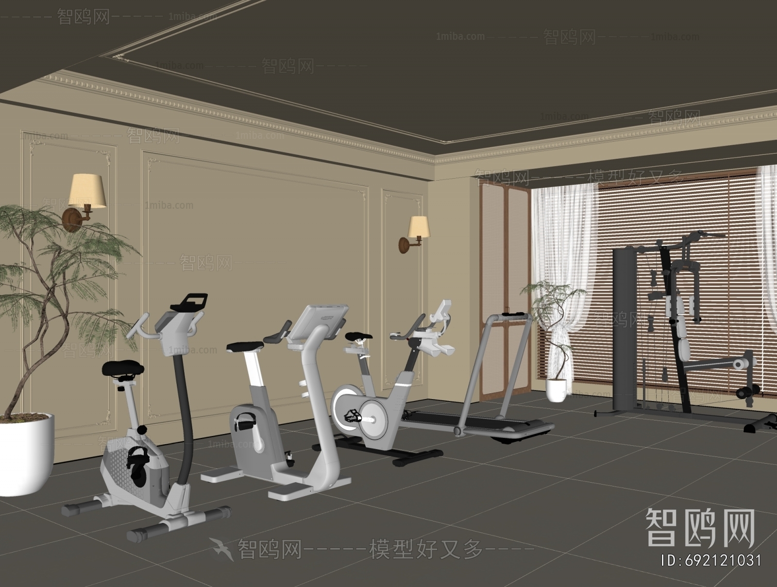 Modern Home Fitness Room