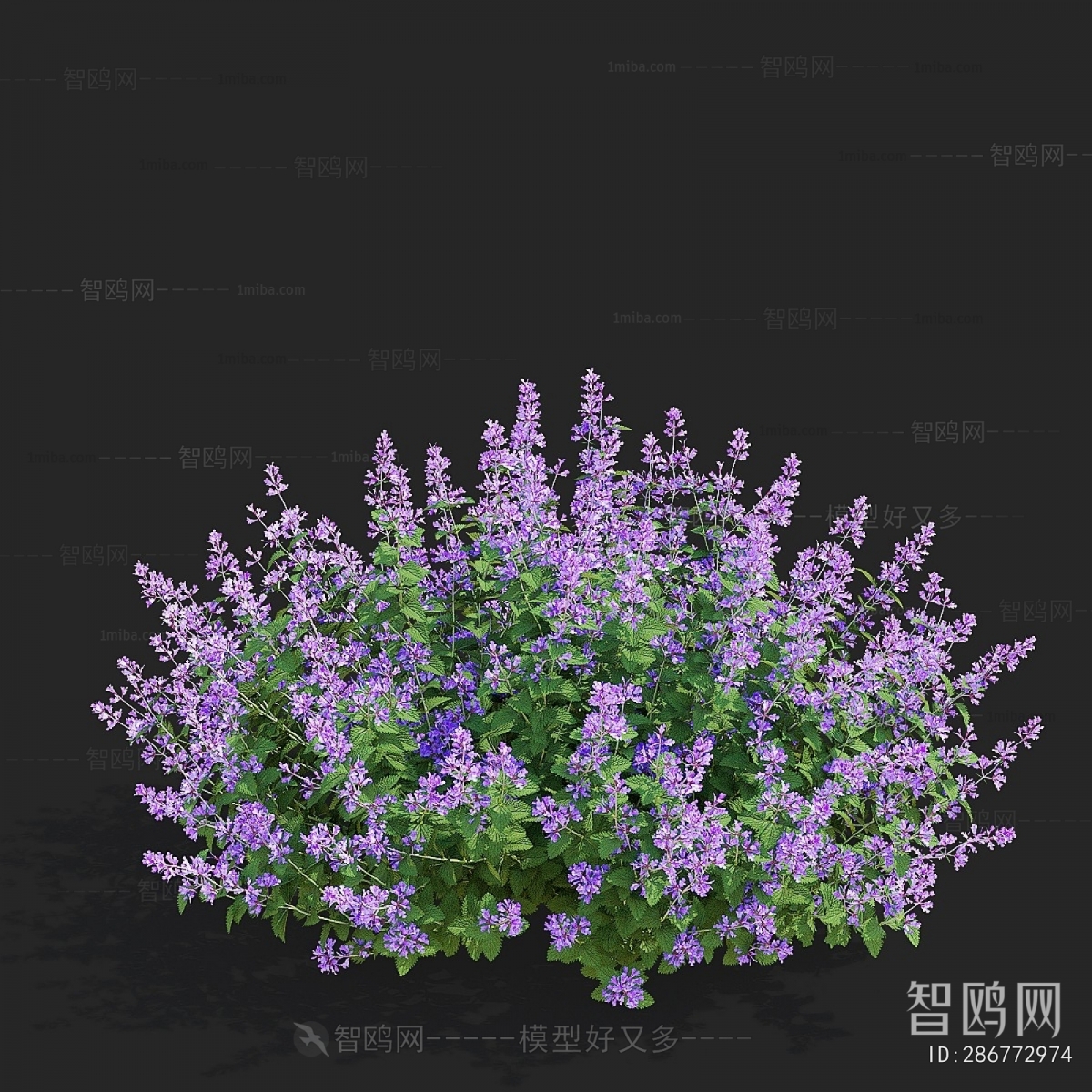 Modern Flowers And Grass