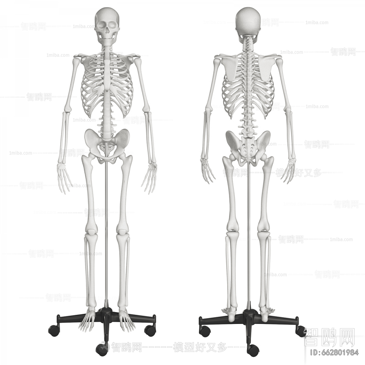 Modern Medical Equipment