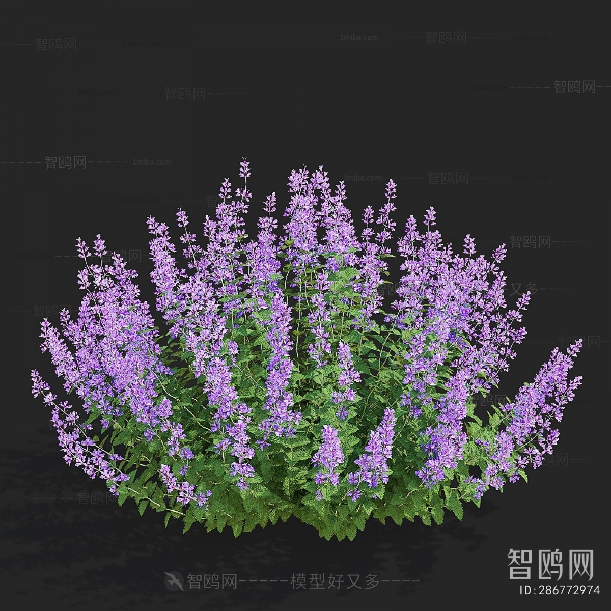 Modern Flowers And Grass