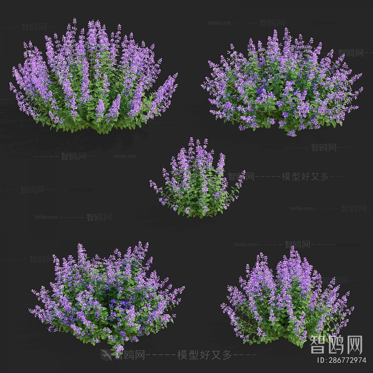 Modern Flowers And Grass