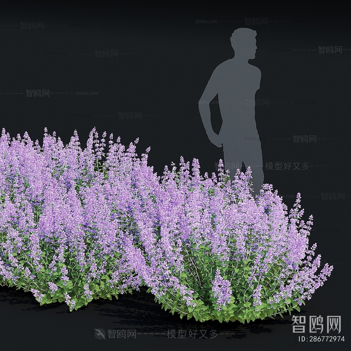 Modern Flowers And Grass