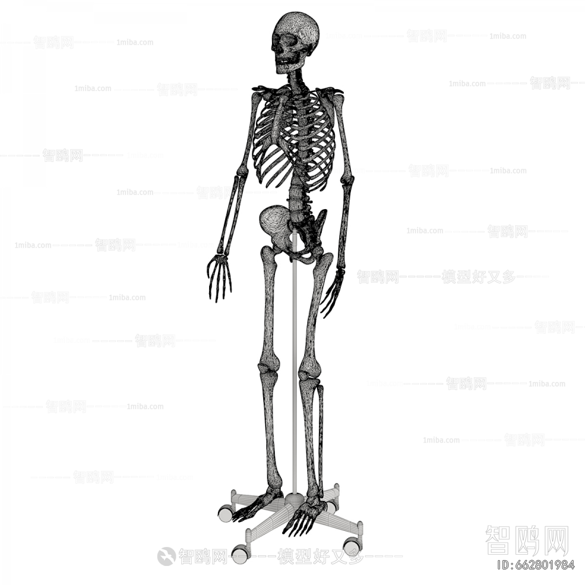 Modern Medical Equipment