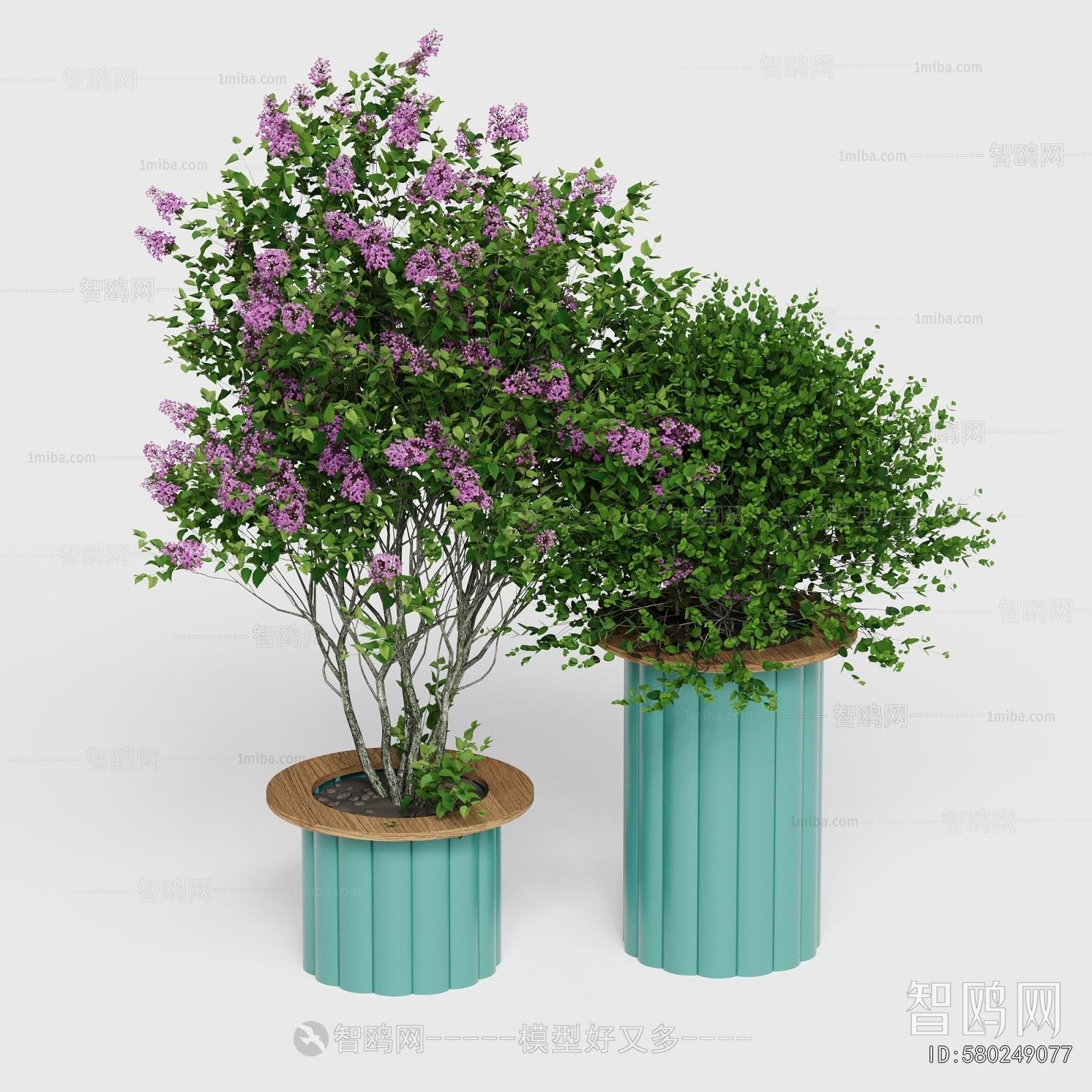 Modern Flower Bed, Flower Bowl, Flower Box