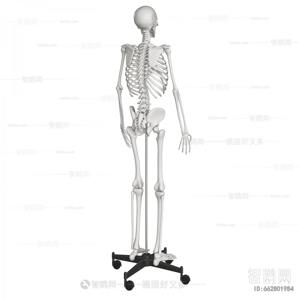 Modern Medical Equipment