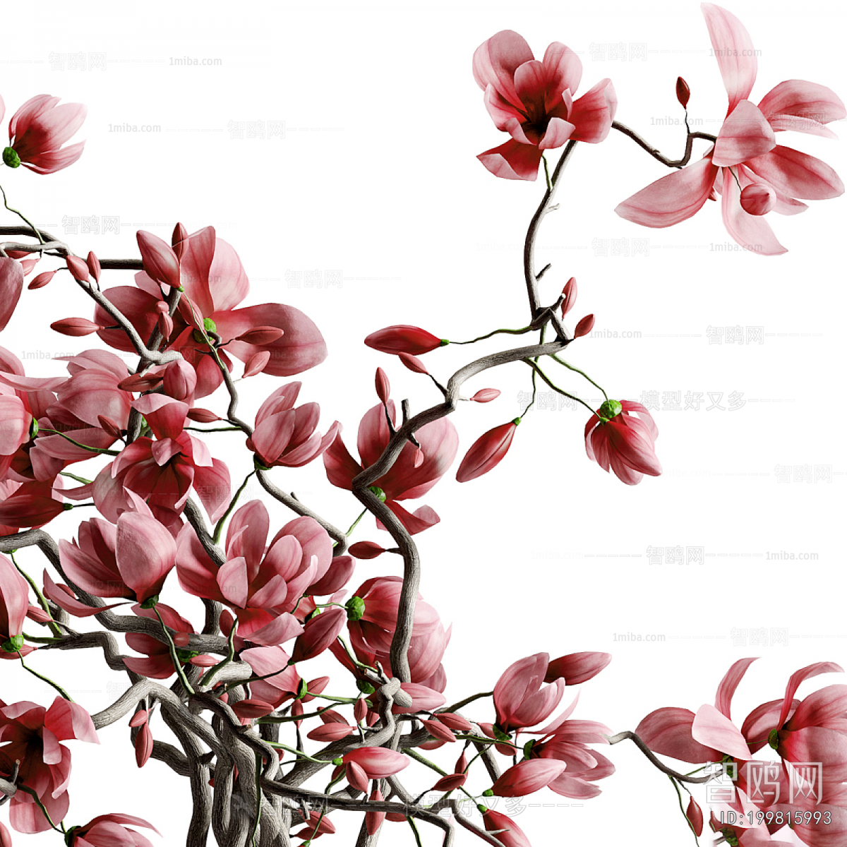 Modern Flower Arrangement