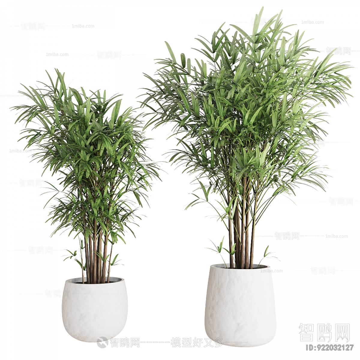 Modern Ground Green Plant Potted Plants
