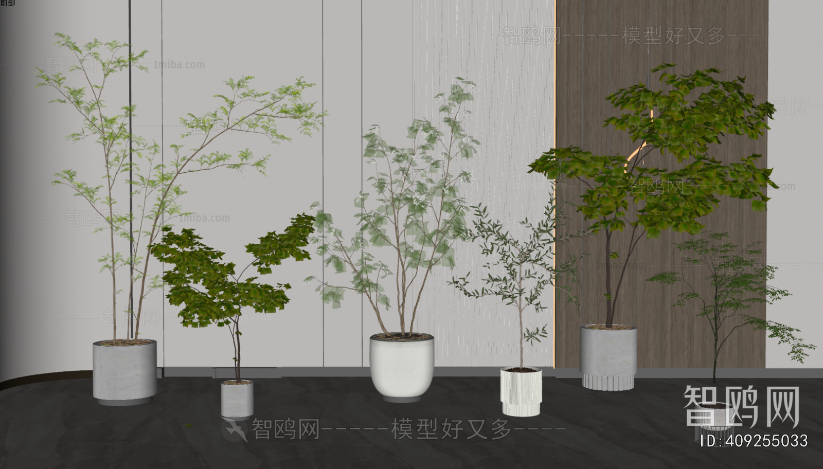 Modern Ground Green Plant Potted Plants