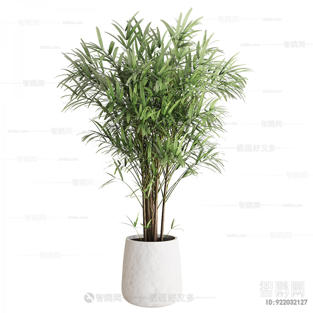 Modern Ground Green Plant Potted Plants