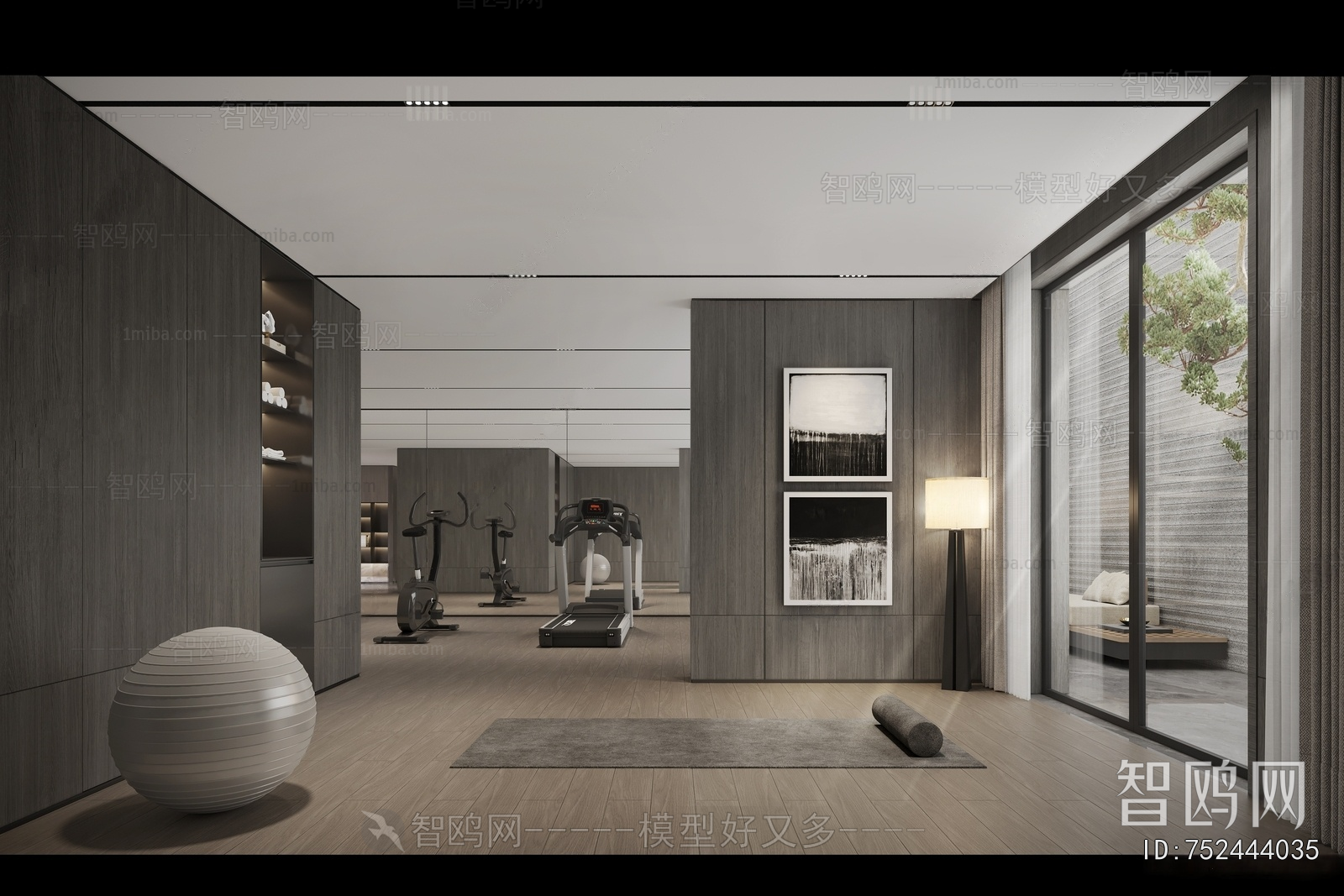 Modern Home Fitness Room