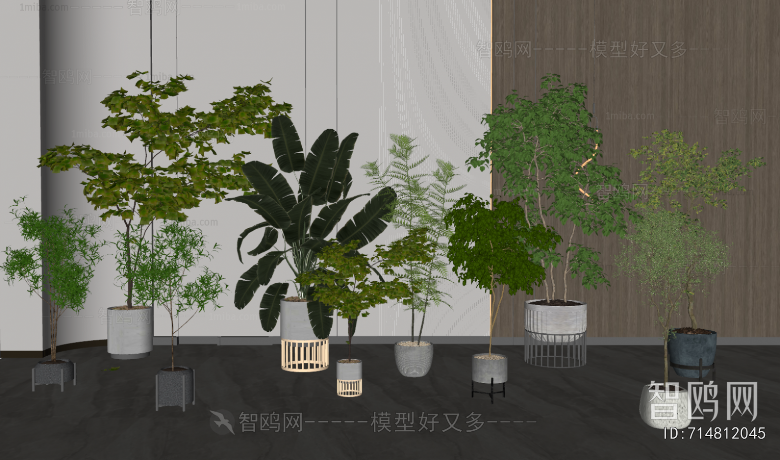 Modern Ground Green Plant Potted Plants