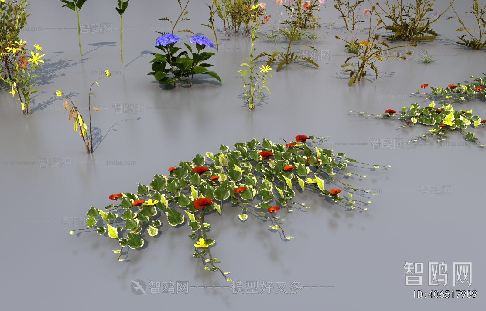 Modern Flowers And Grass