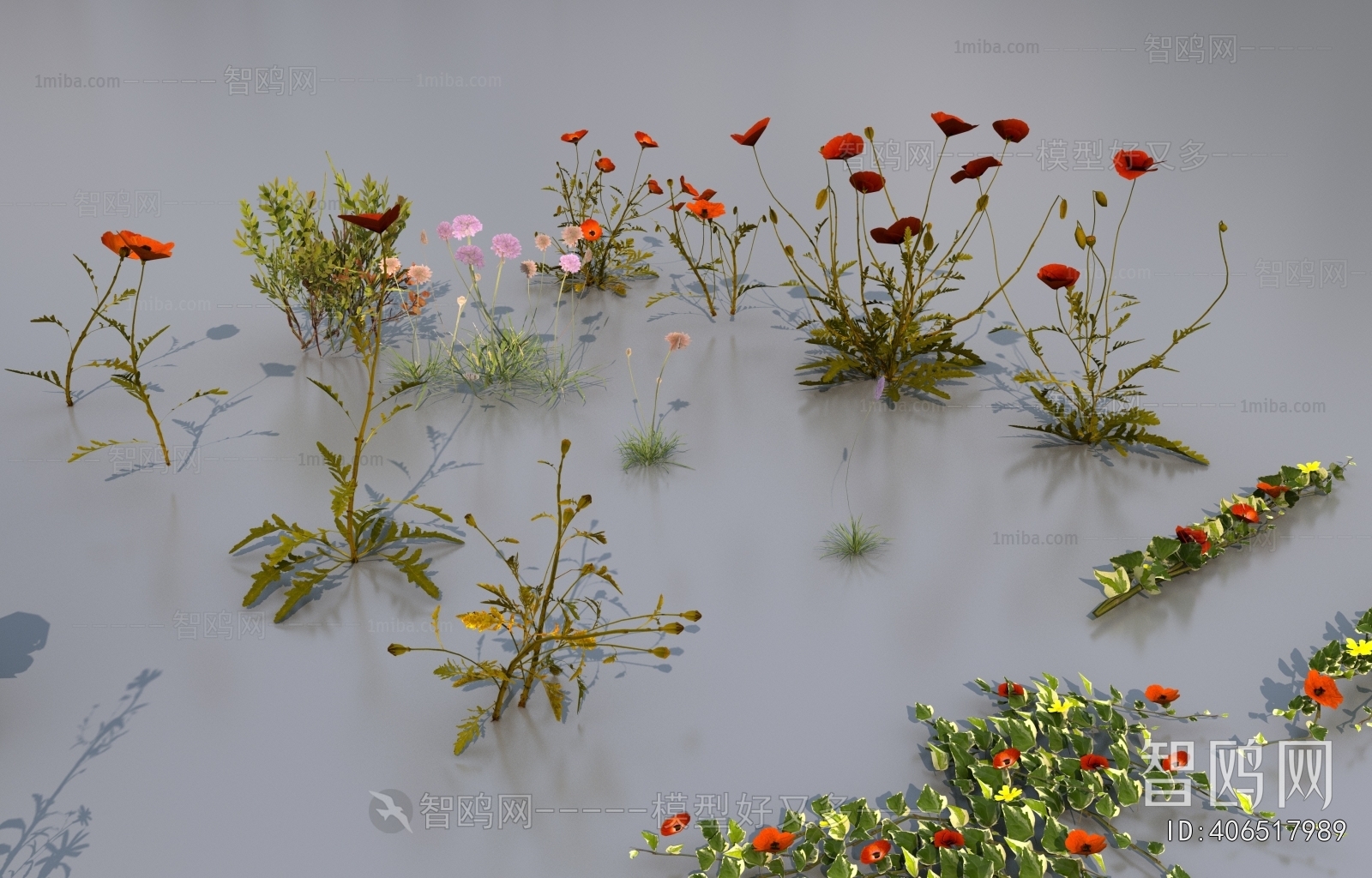 Modern Flowers And Grass