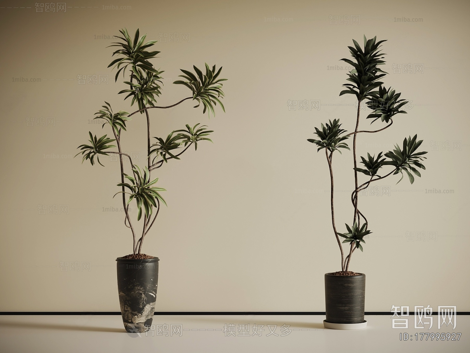 Modern Ground Green Plant Potted Plants