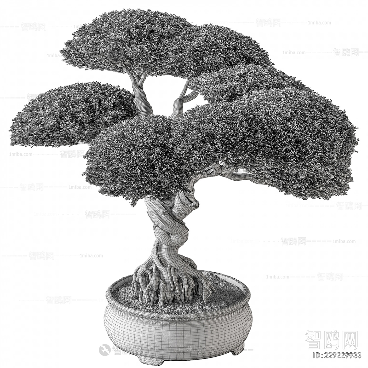 New Chinese Style Bonsai