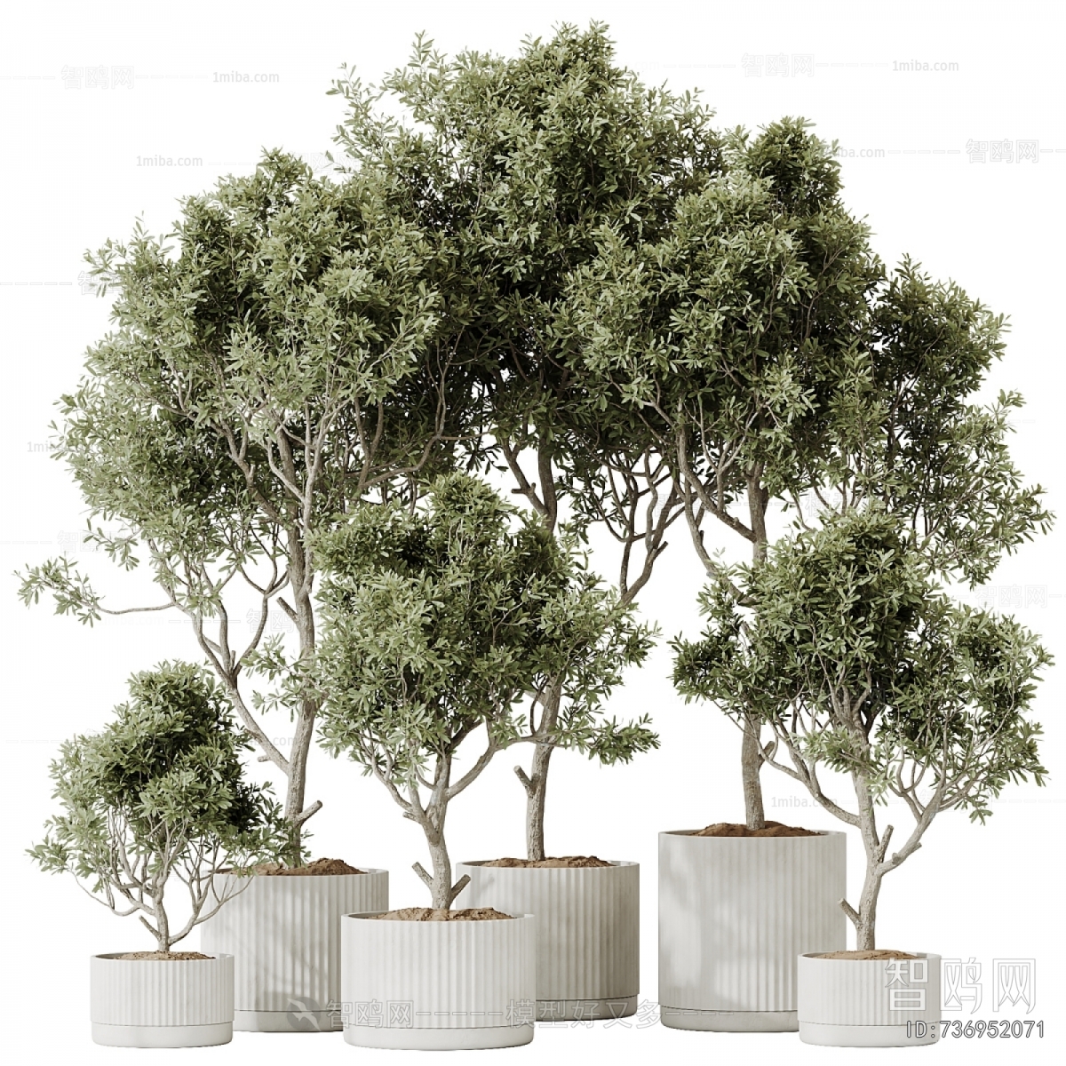 Modern Ground Green Plant Potted Plants