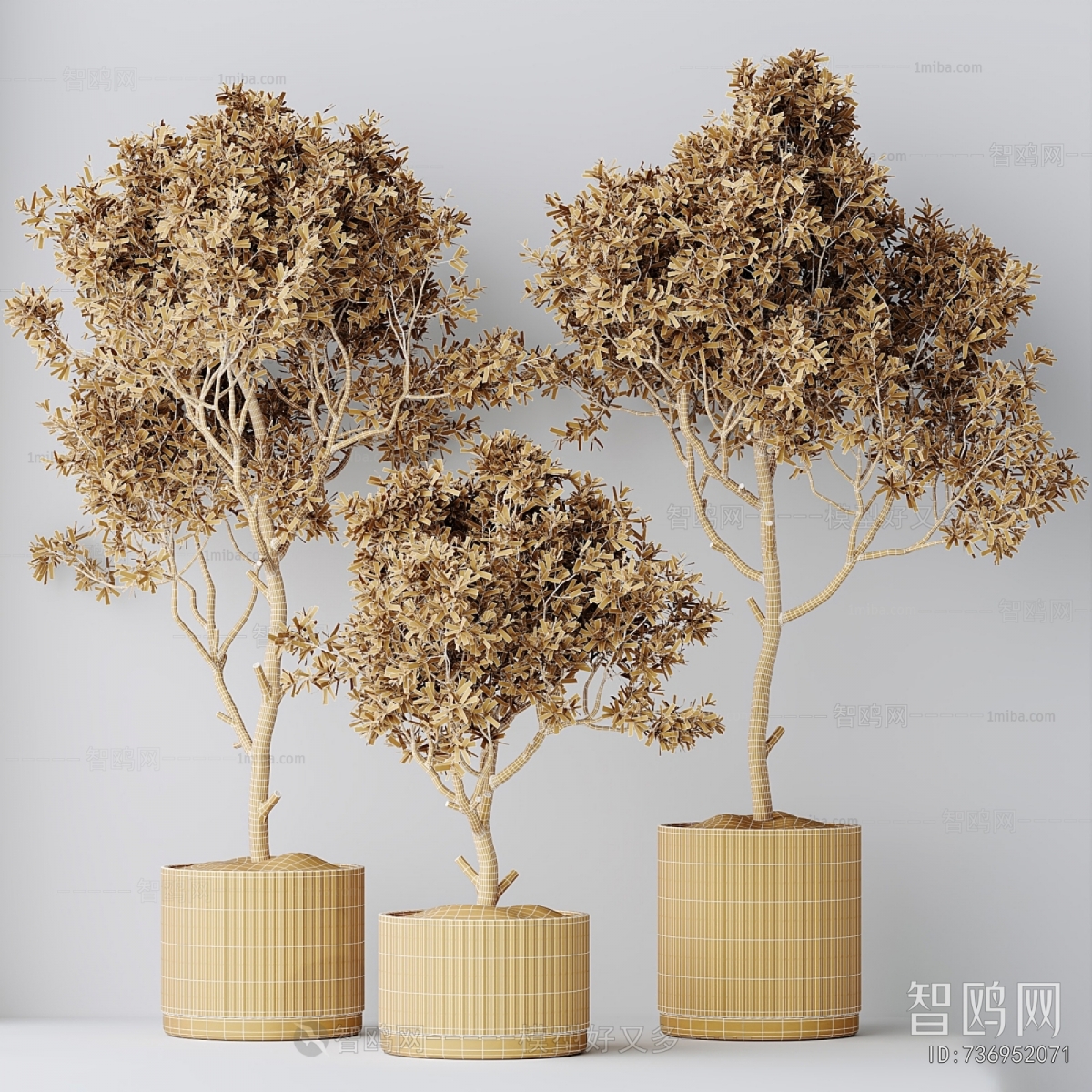 Modern Ground Green Plant Potted Plants