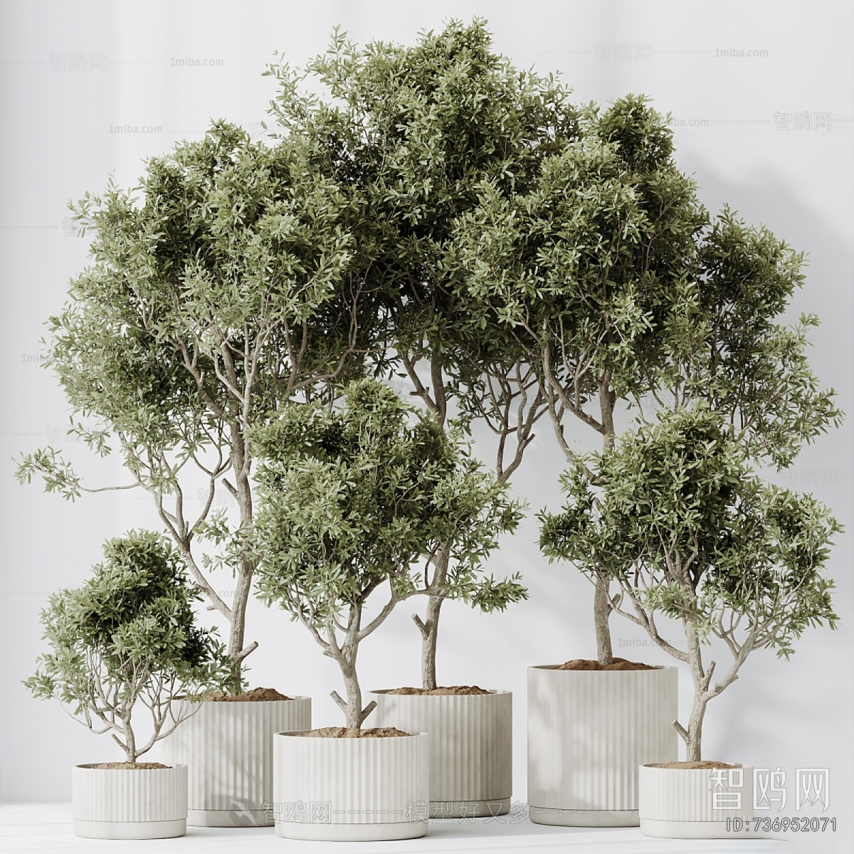 Modern Ground Green Plant Potted Plants