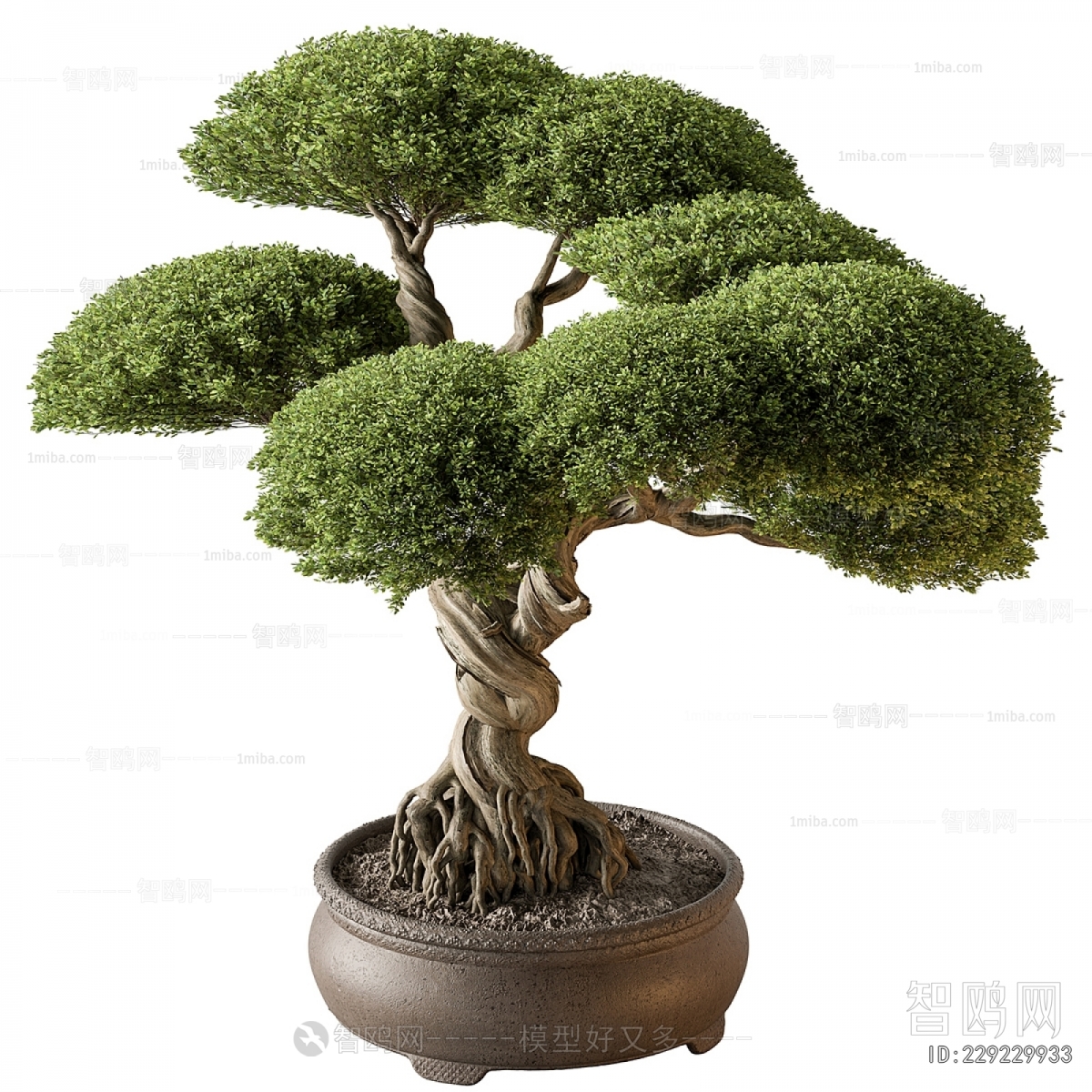 New Chinese Style Bonsai