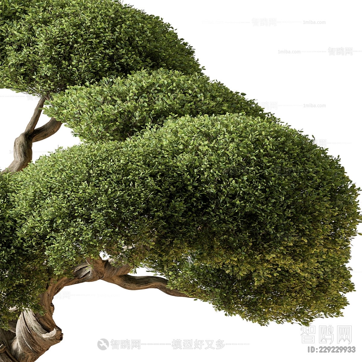 New Chinese Style Bonsai