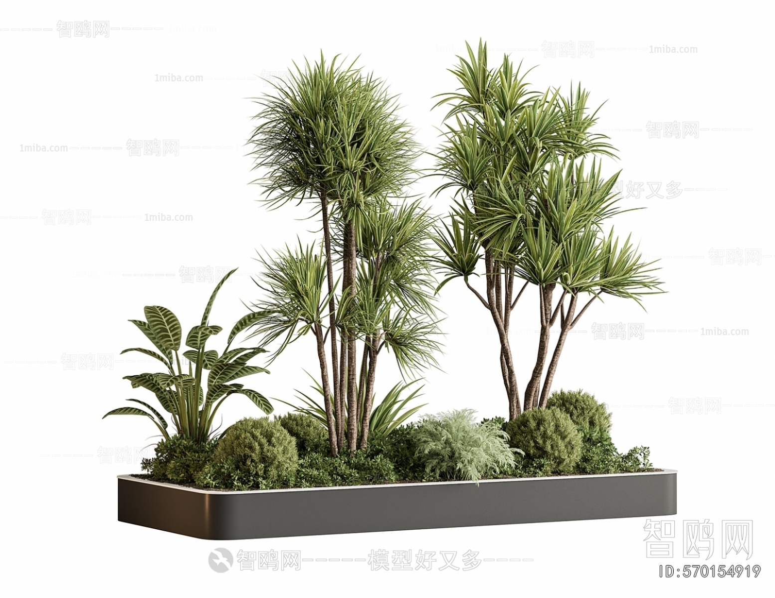 Modern Flower Bed, Flower Bowl, Flower Box