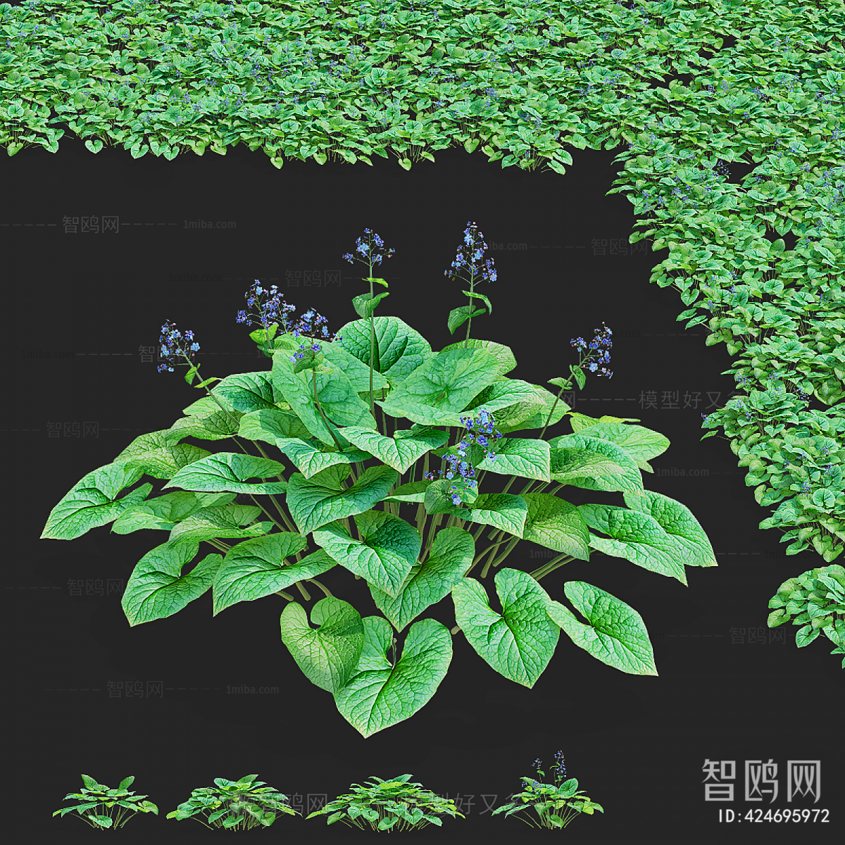 Modern Flowers And Grass