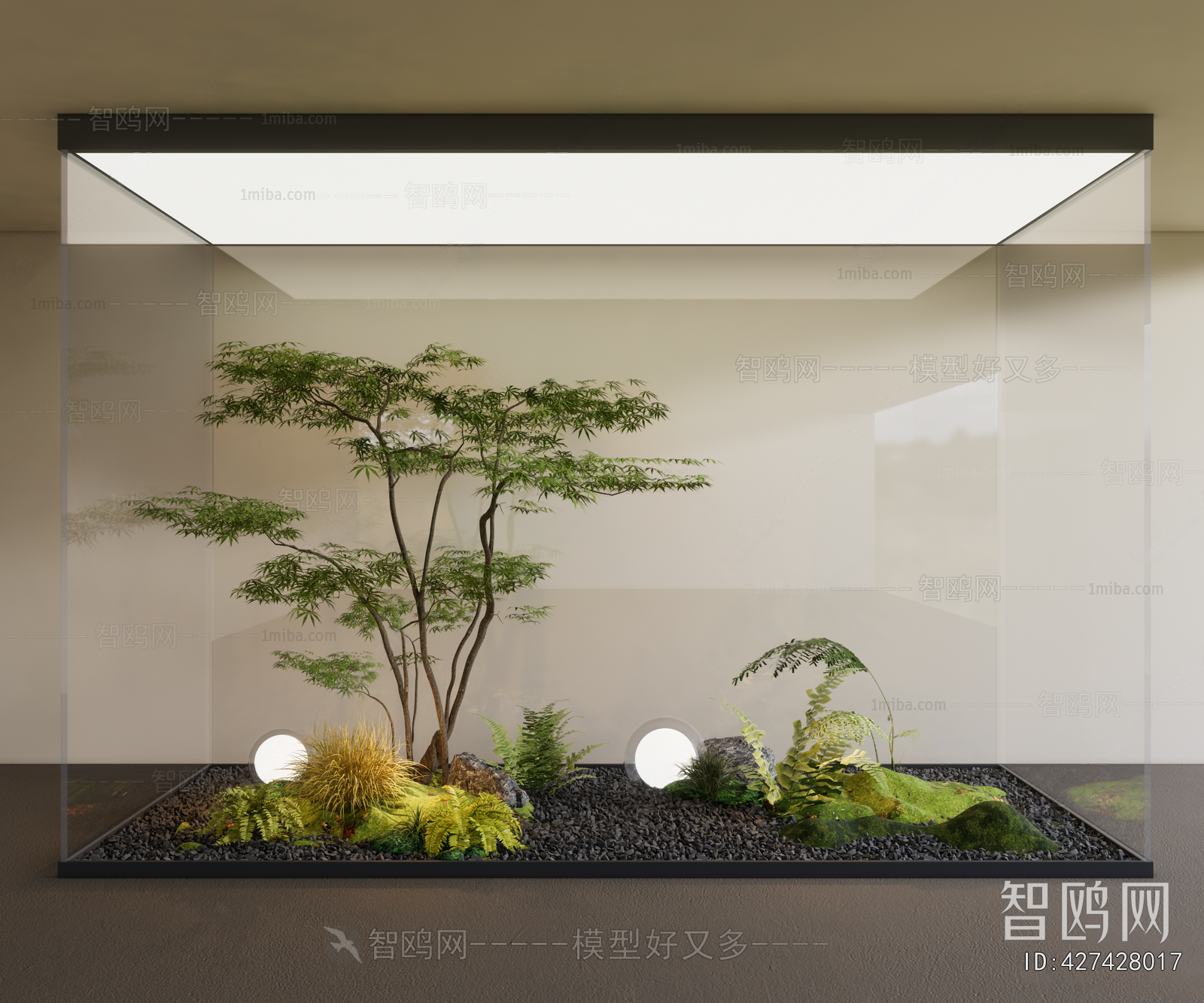 Modern Plant Landscaping