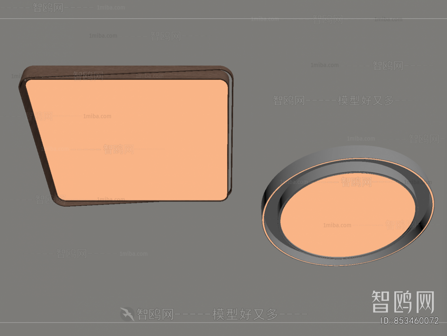 Modern Ceiling Ceiling Lamp