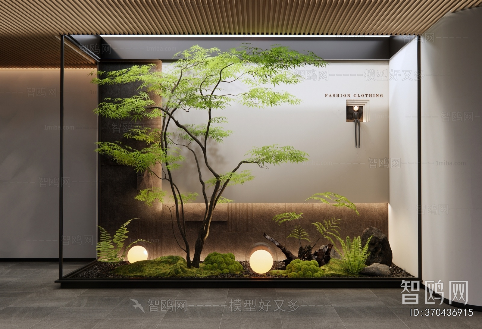 Modern Plant Landscaping