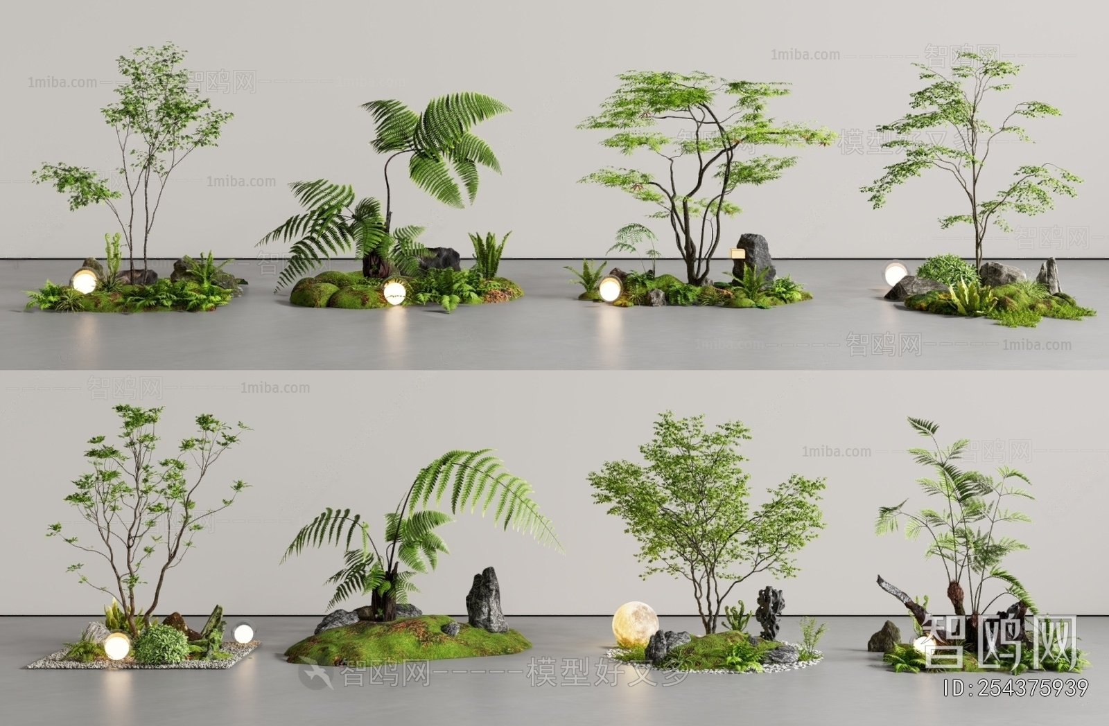 Modern Plant Landscaping