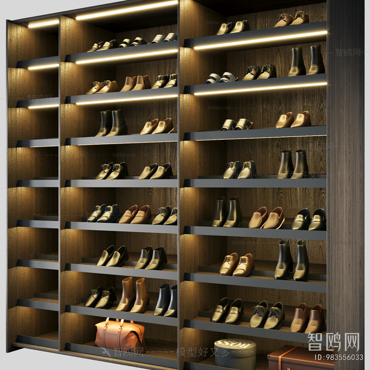 Modern Shoe Cabinet