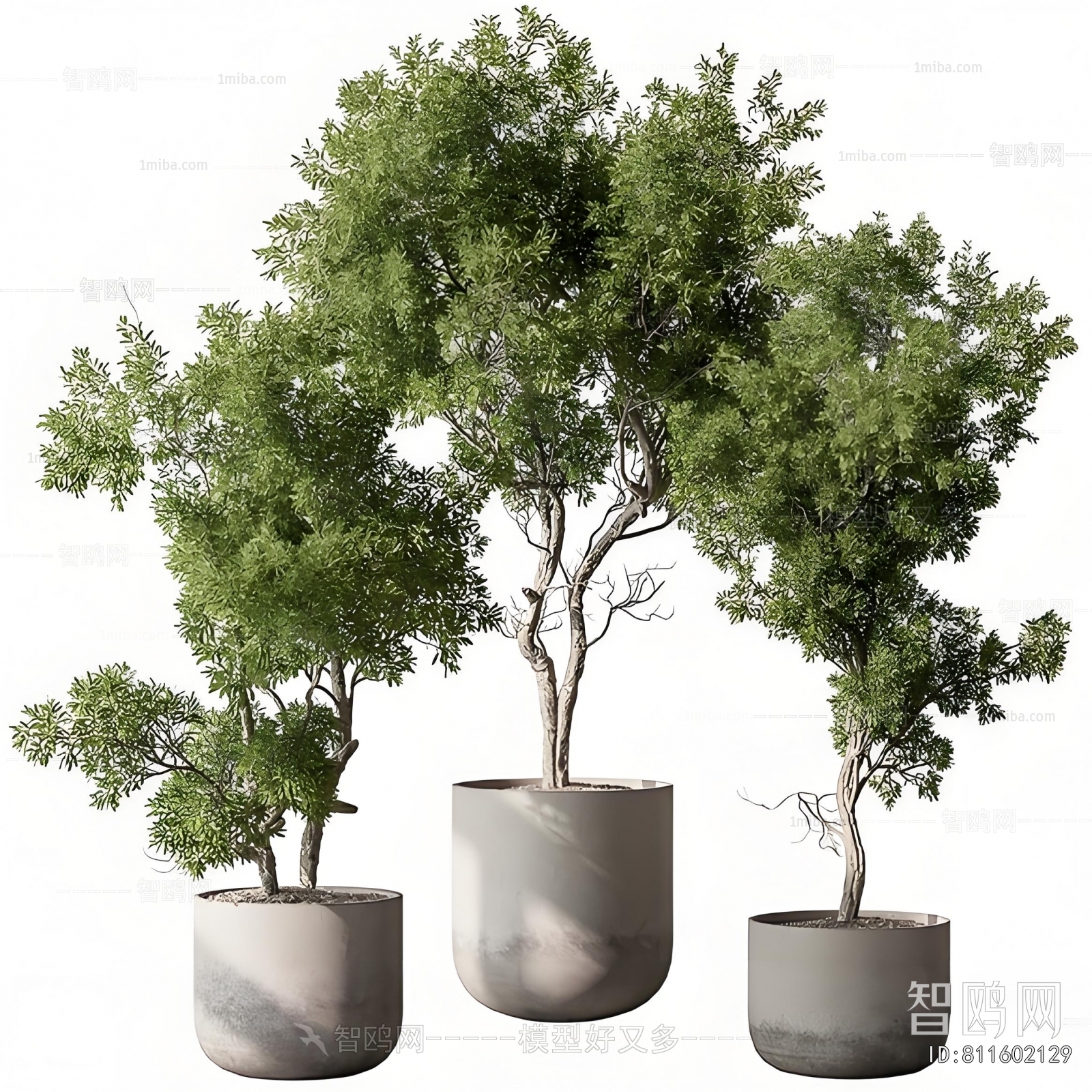Modern Ground Green Plant Potted Plants