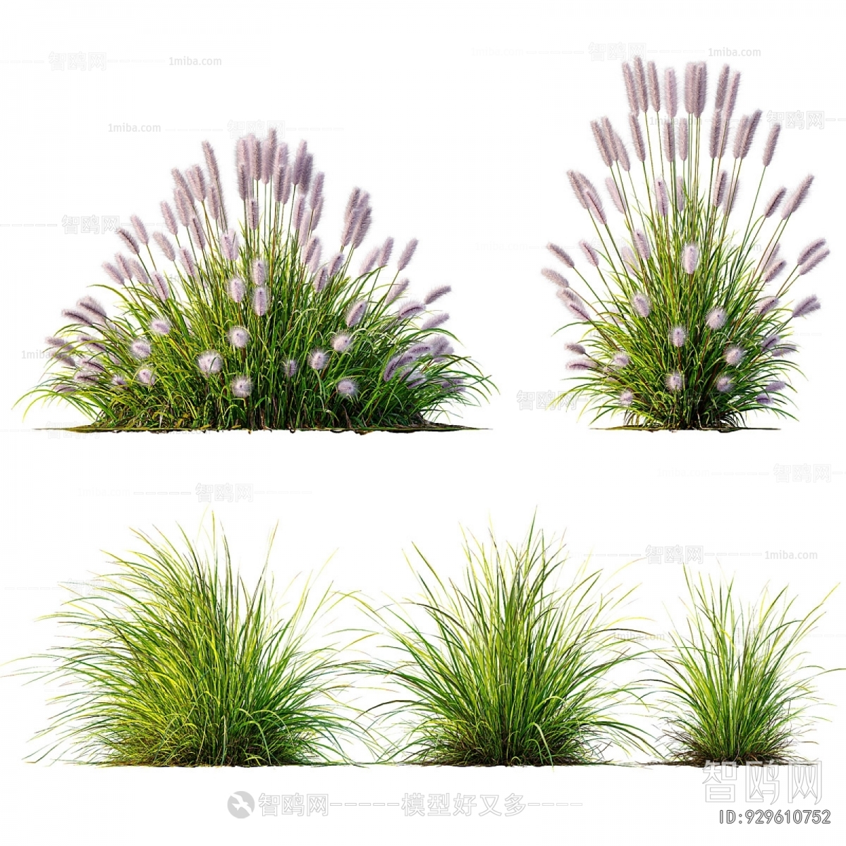 Modern Flowers And Grass