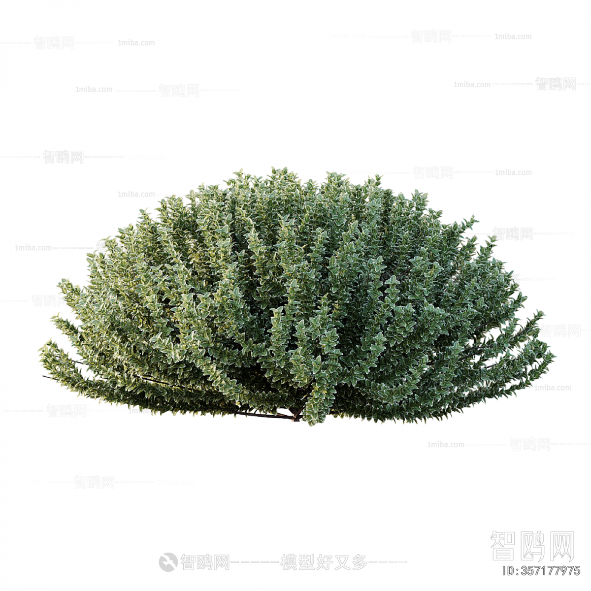 Modern Shrubbery