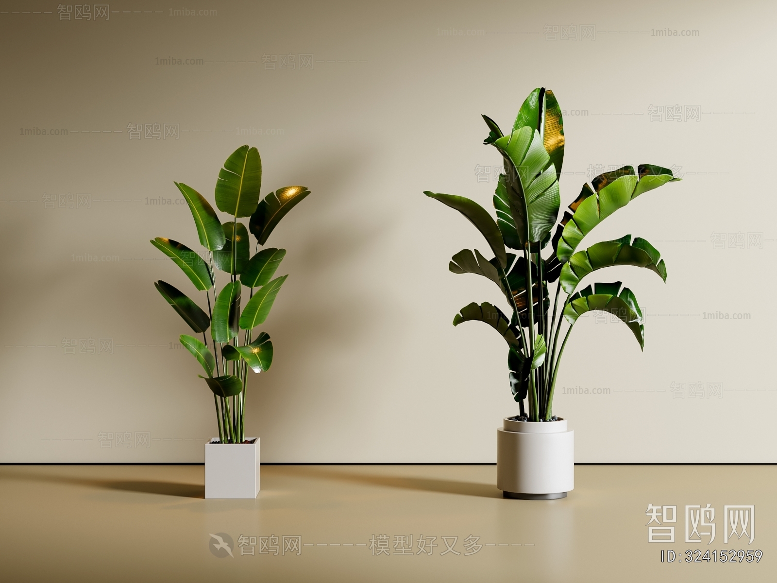 Modern Ground Green Plant Potted Plants