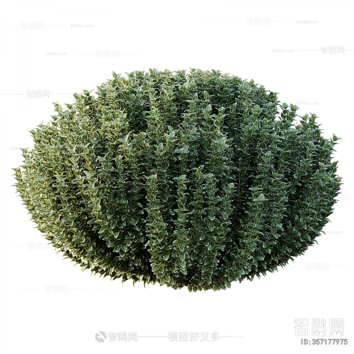 Modern Shrubbery