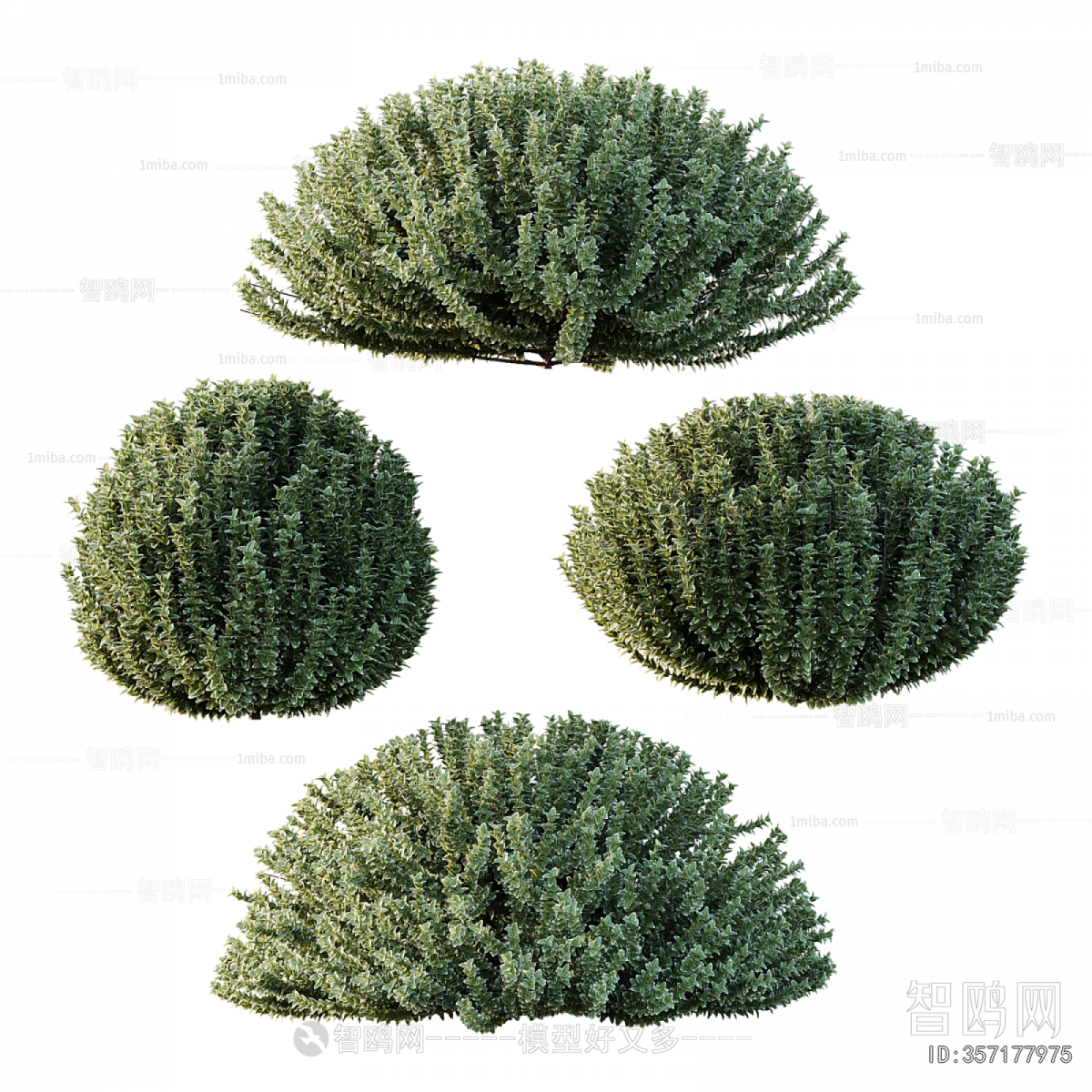 Modern Shrubbery