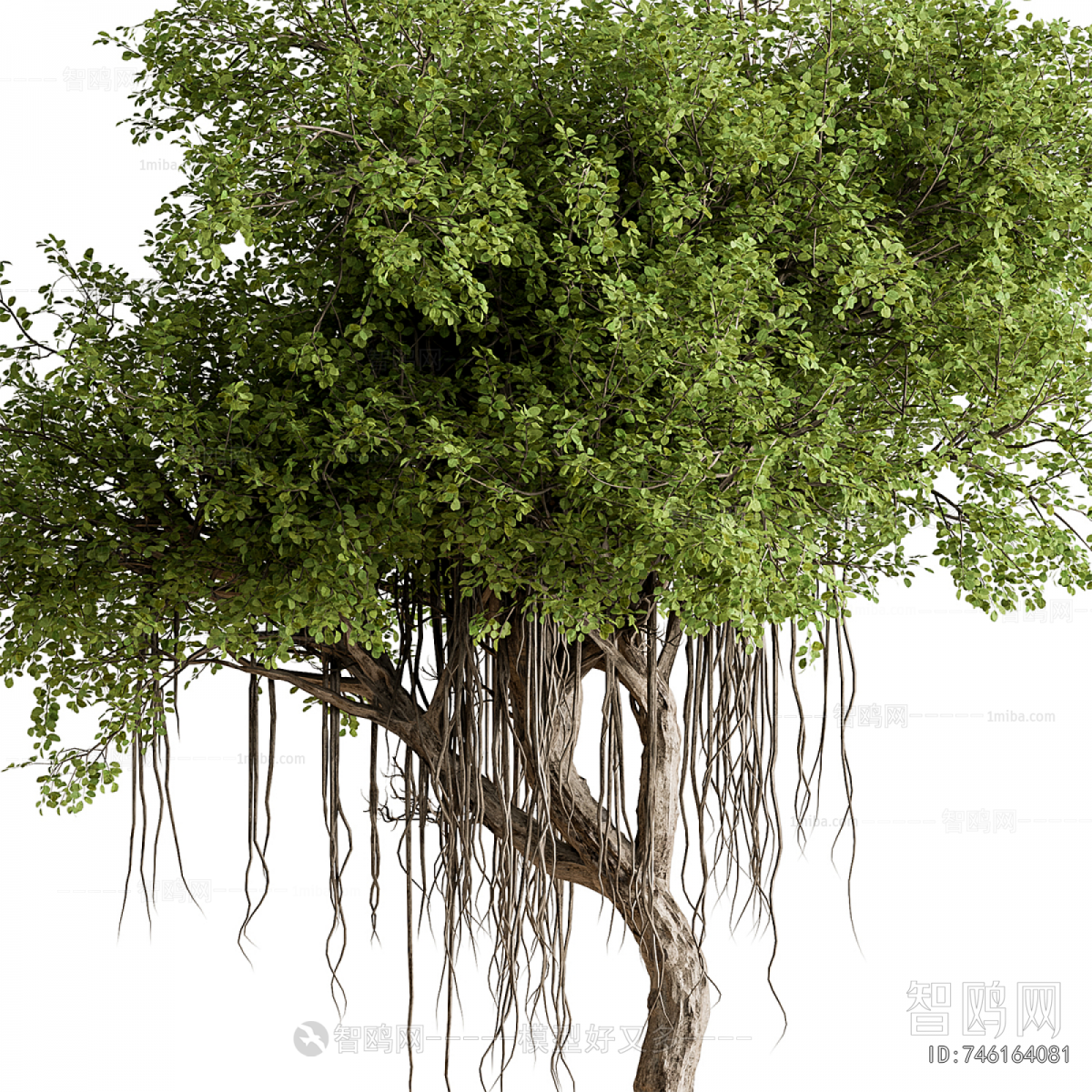 Modern Ground Green Plant Potted Plants