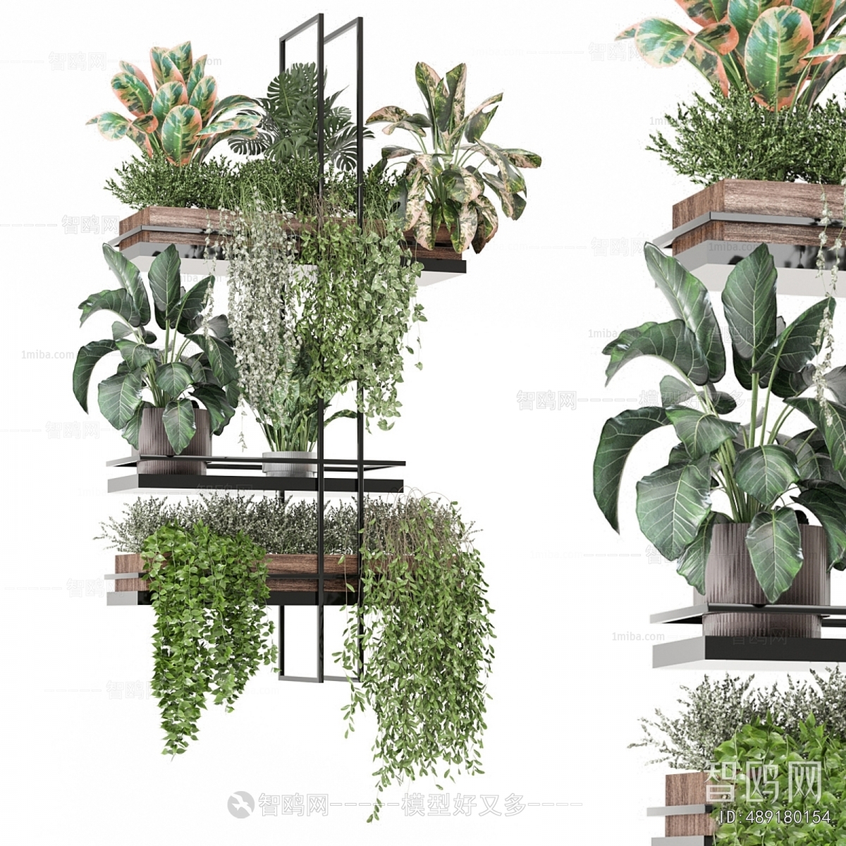 Modern Potted Green Plant