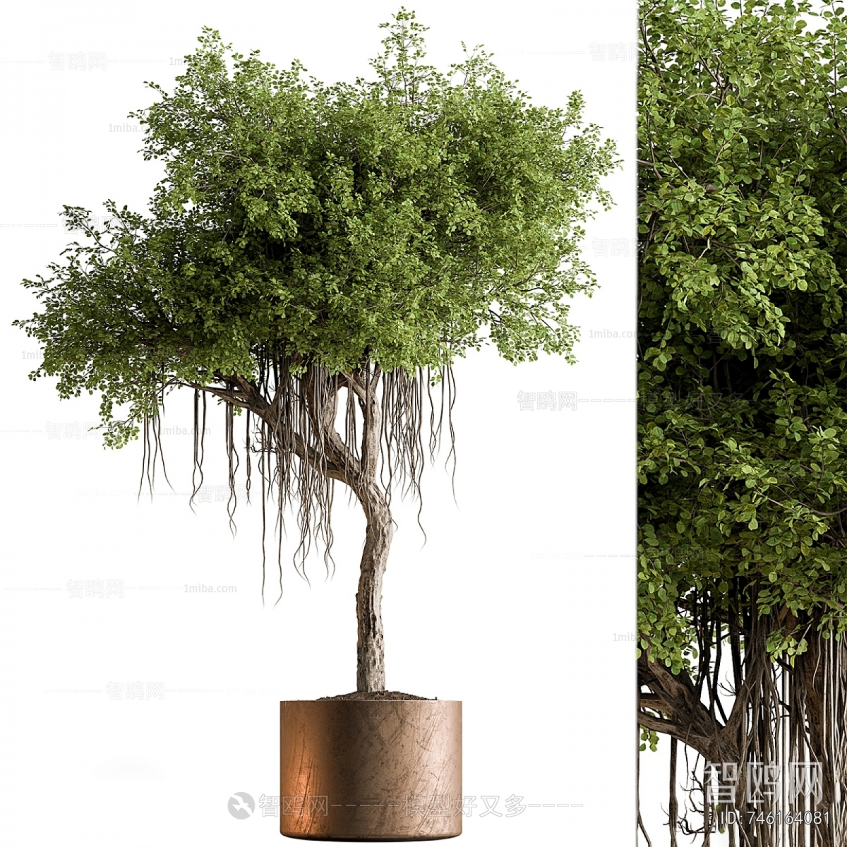 Modern Ground Green Plant Potted Plants