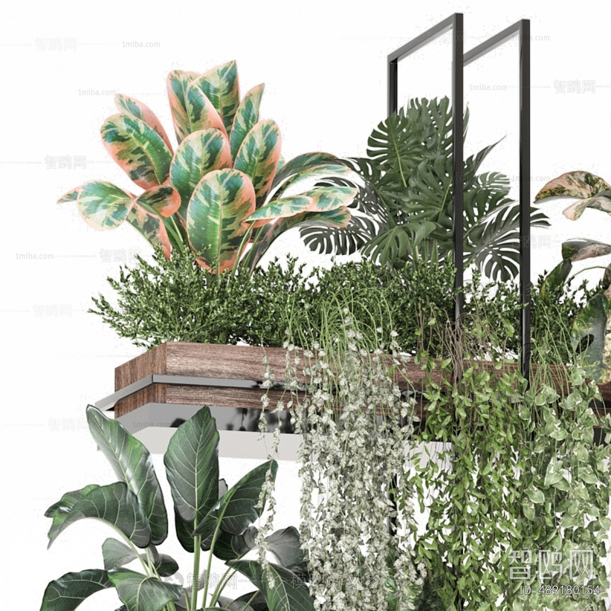 Modern Potted Green Plant