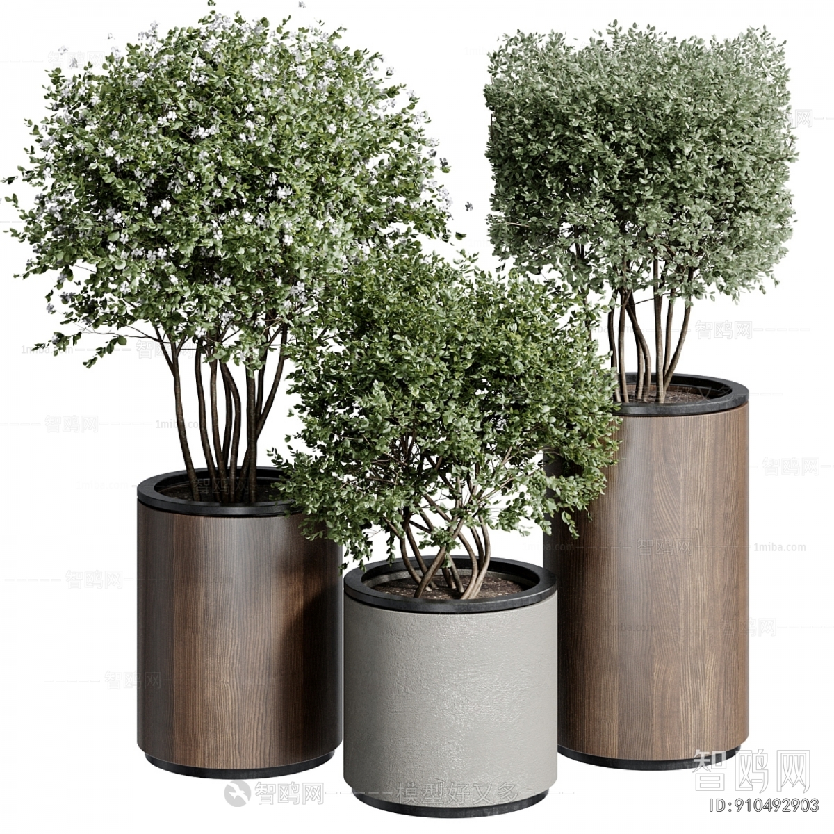 Modern Ground Green Plant Potted Plants