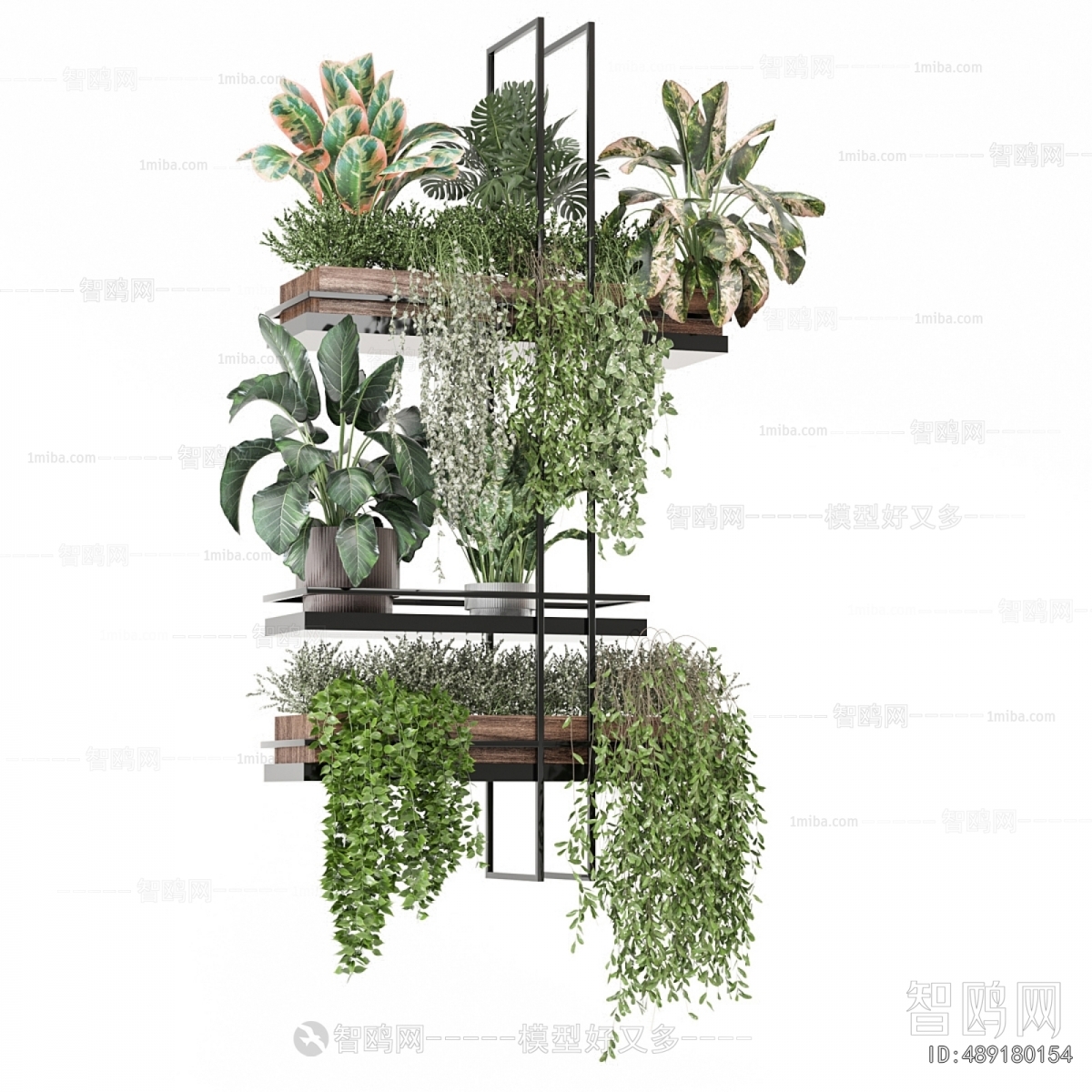 Modern Potted Green Plant