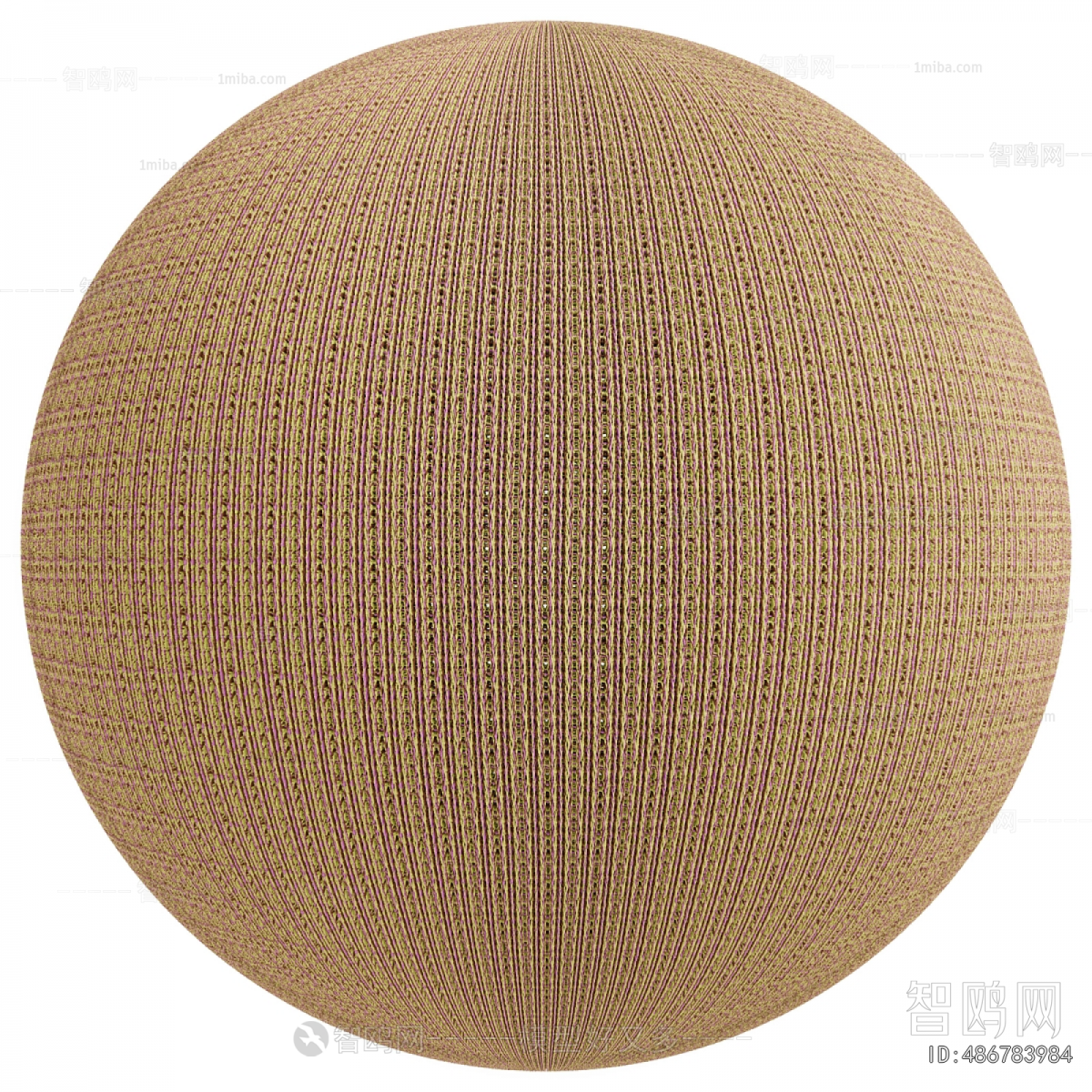 Modern Clothes, Bags And Shoes